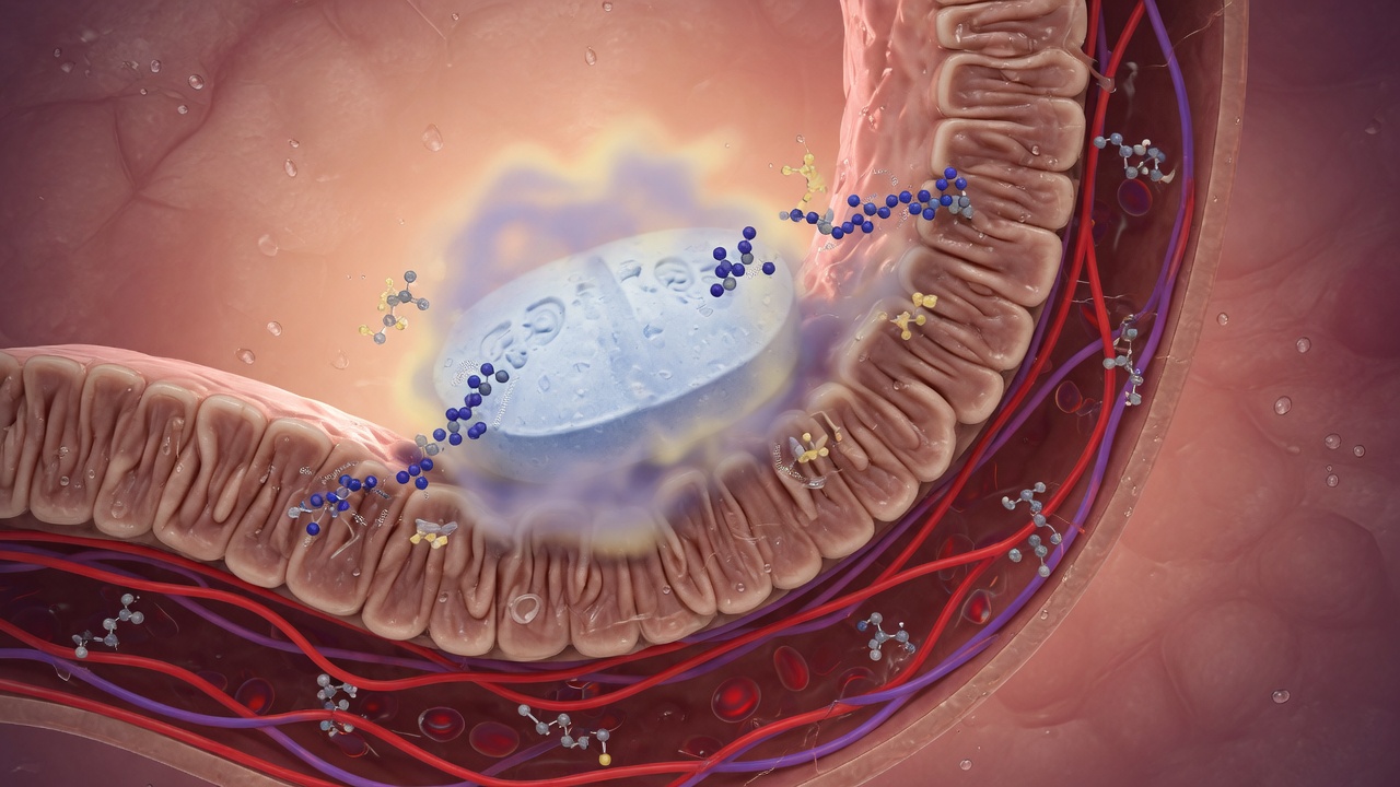 Editorial photograph related to What Does The Semaglutide Absorption Process Look Like?: What Does the Semaglutide Absorption Process Look Like?